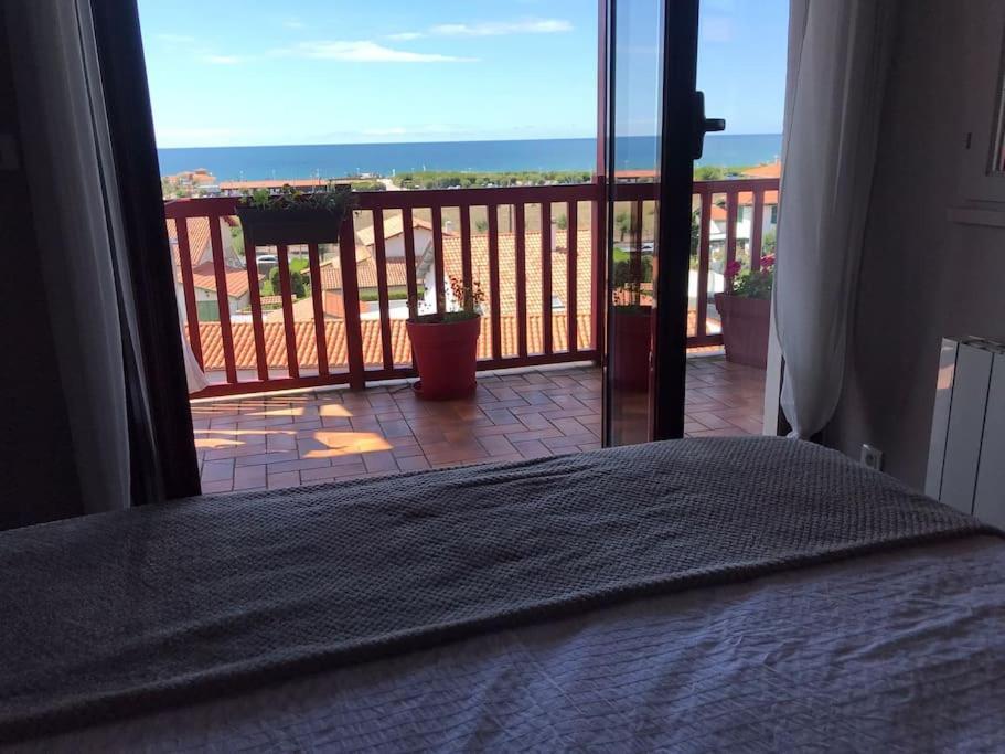 Bel Appartement Tout Confort En Bord Des Plages Англет Екстер'єр фото